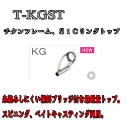 画像1: Fuji 富士工業  KGトップ Ｔ-ＫＧＳＴ (チタン/SiC)