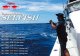 リップルフィッシャー ＳＥＬＦＩＳＨ ＮＳ ６１４