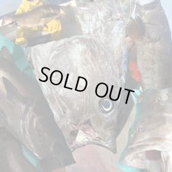 画像4: 万力ストロングスリーブ ＃L４ ロングタイプ 対応ハリス：ナイロン１２０号 ３８０LB