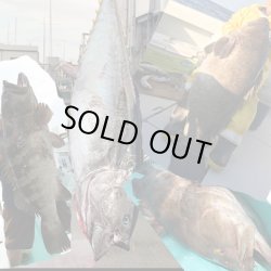 画像3: 万力ストロングスリーブ ＃L４ ロングタイプ 対応ハリス：ナイロン１２０号 ３８０LB