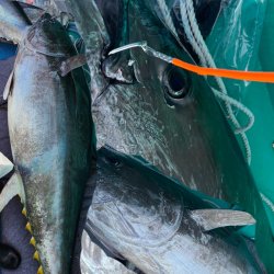 画像6: 万力ストロングチューブ 