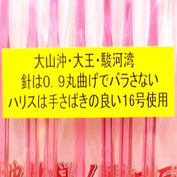 画像3: アマノ釣具 大山沖スルメイカ仕掛け ６本直結