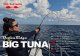 リップルフィッシャー ＢＩＧ ＴＵＮＡ ７１０ＲＴ JAPAN Special