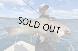 画像5: モンスターキス 蜃気楼 Shinkirow KEARASHI 72/77MS ケアラシ