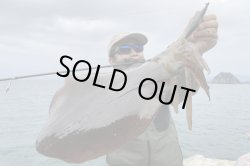 画像3: モンスターキス 蜃気楼 Shinkirow KEARASHI 72/77MS ケアラシ