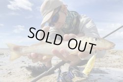 画像7: モンスターキス 蜃気楼 Shinkirow KEARASHI 72/77MS ケアラシ