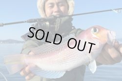 画像6: モンスターキス 蜃気楼 Shinkirow KEARASHI 72/77MS ケアラシ