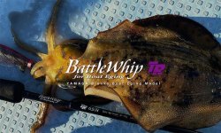 画像1: ヤマガブランクス  BattleWhip TR63/N  バトルウィップ TR63/N