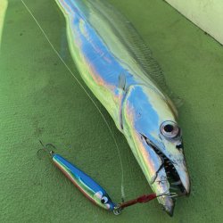 画像6: ＭＡＳＨＩＯ MASHIO JIG マスタング １２０ｇ