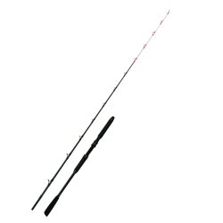 画像3: ゴクスペ  '25 無限ピュア船シマアジリミテッド 180