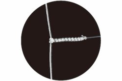 画像4: ヤマリア シマアジ仕掛 FSA3A  オールウィリー巻