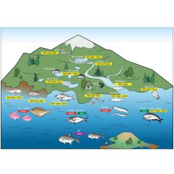 画像4: SUZUKI Blanks  ライトゲーム用ブランク ＲＸＦＳ  RXFSー3LBー5112  RXFSー5LBー652