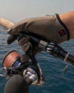 画像5: ＣＢ ＯＮＥ  オフショアストレッチグローブ