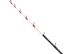 画像3: ダイワ  アナリスターイカ直結１５０・Ｊ