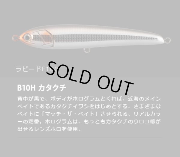 画像1: マリア・ラピード Ｆ１６０　B10H/カタクチ
