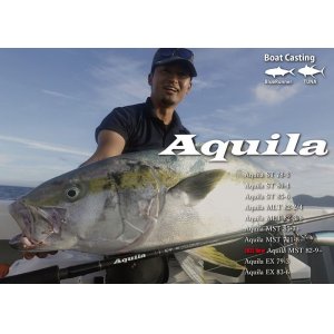 画像: リップルフィッシャー Ａｑｕｉｌａ ＭＬＴ ８２-３/６