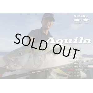 画像: リップルフィッシャー Ａｑｕｉｌａ ＭＬＴ ８２-２/４