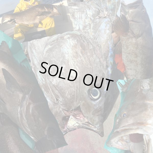 画像4: 万力ストロングスリーブ ＃L４ ロングタイプ 対応ハリス：ナイロン１２０号 ３８０LB