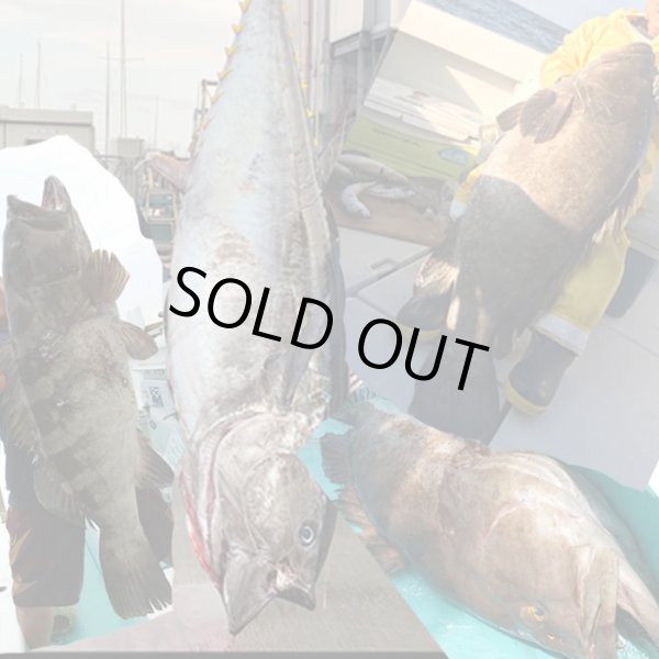 画像3: 万力ストロングスリーブ ＃L４ ロングタイプ 対応ハリス：ナイロン１２０号 ３８０LB