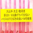 画像3: アマノ釣具 大山沖スルメイカ仕掛け ６本直ブラ