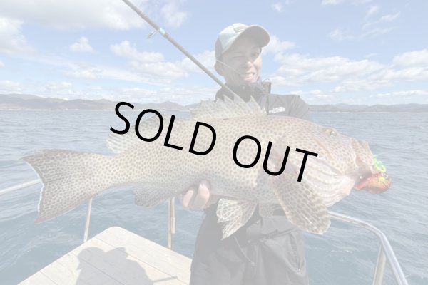 画像5: モンスターキス 蜃気楼 Shinkirow KEARASHI 72/77MS ケアラシ