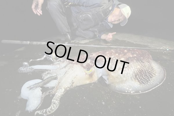 モンスターキス蜃気楼 Shinkirow KEARASHI 72/77MS ケアラシ