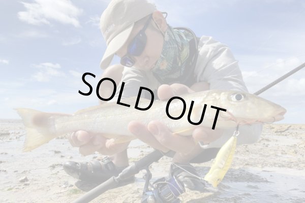 画像7: モンスターキス 蜃気楼 Shinkirow KEARASHI 72/77MS ケアラシ