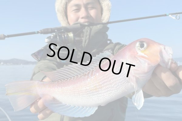 画像6: モンスターキス 蜃気楼 Shinkirow KEARASHI 72/77MS ケアラシ