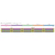 画像2: ＸＢＲＡＩＤ<br>オムニウム Ｘ８ アップグレード