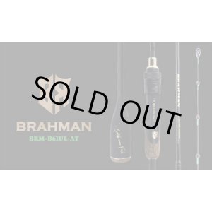 画像: ＳＴＡＲＴ  ＢＲＡＨＭＡＮ ブラフマン  ＢＲＭ‐Ｂ６１ＵＬ‐ＡＴ  チューブラーモデル