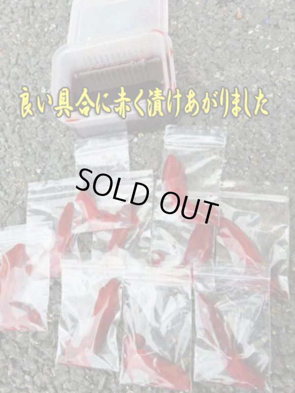 画像3: 押江込蔵・レッド極上爆釣液 600g  シマヤオリジナル濃色素ボトル