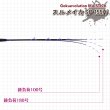 画像4: ゴクスペ <br>Gokuevolution IKA STICK スルメSP 155H <br>ゴクエボリューション イカスティック スルメスペシャル155Ｈ