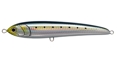 画像: マリアラピード Ｆ１９０　001/イワシ