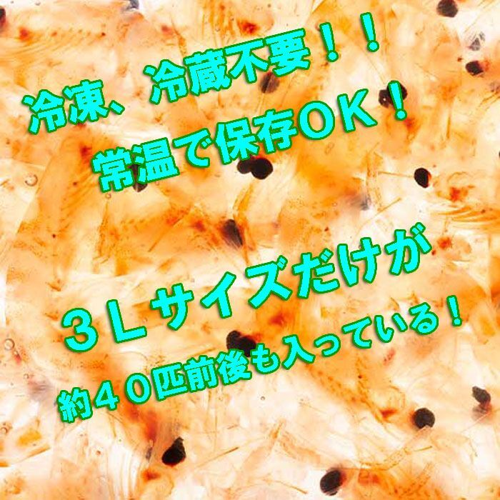 画像: 生オキアミ レアハード 3Ｌ　