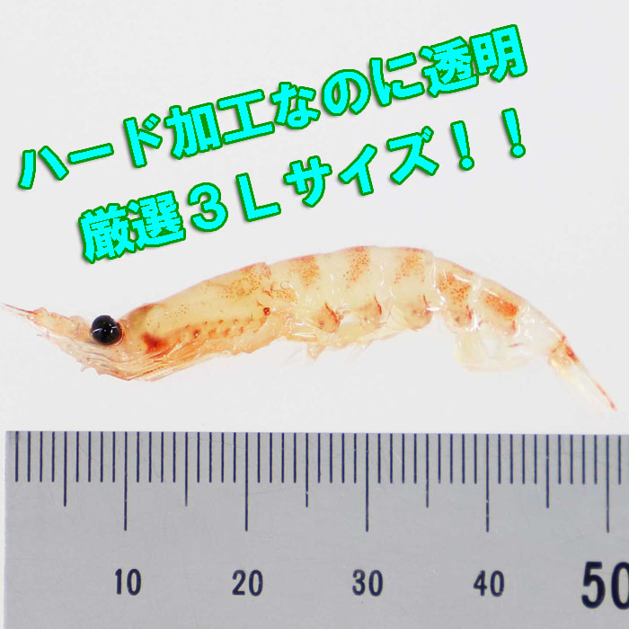 画像: 生オキアミ レアハード 3Ｌ　