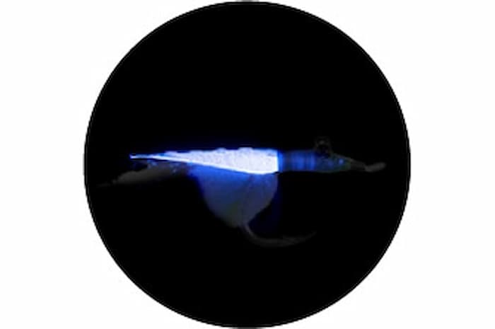 画像: ヤマリアシマアジ仕掛 FSA3A オールウィリー巻