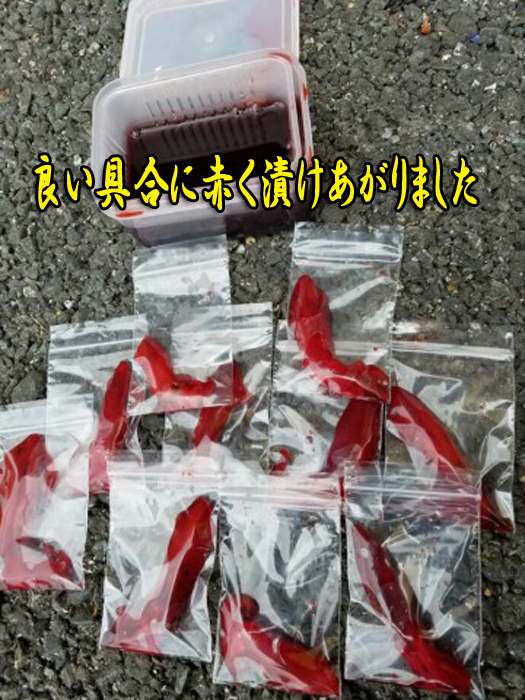 画像: 押江込蔵・レッド極上爆釣液 600g シマヤオリジナル濃色素ボトル