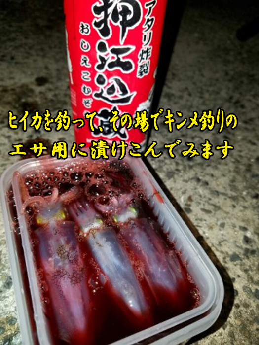 画像2: 押江込蔵・レッド極上爆釣液 600g  シマヤオリジナル濃色素ボトル